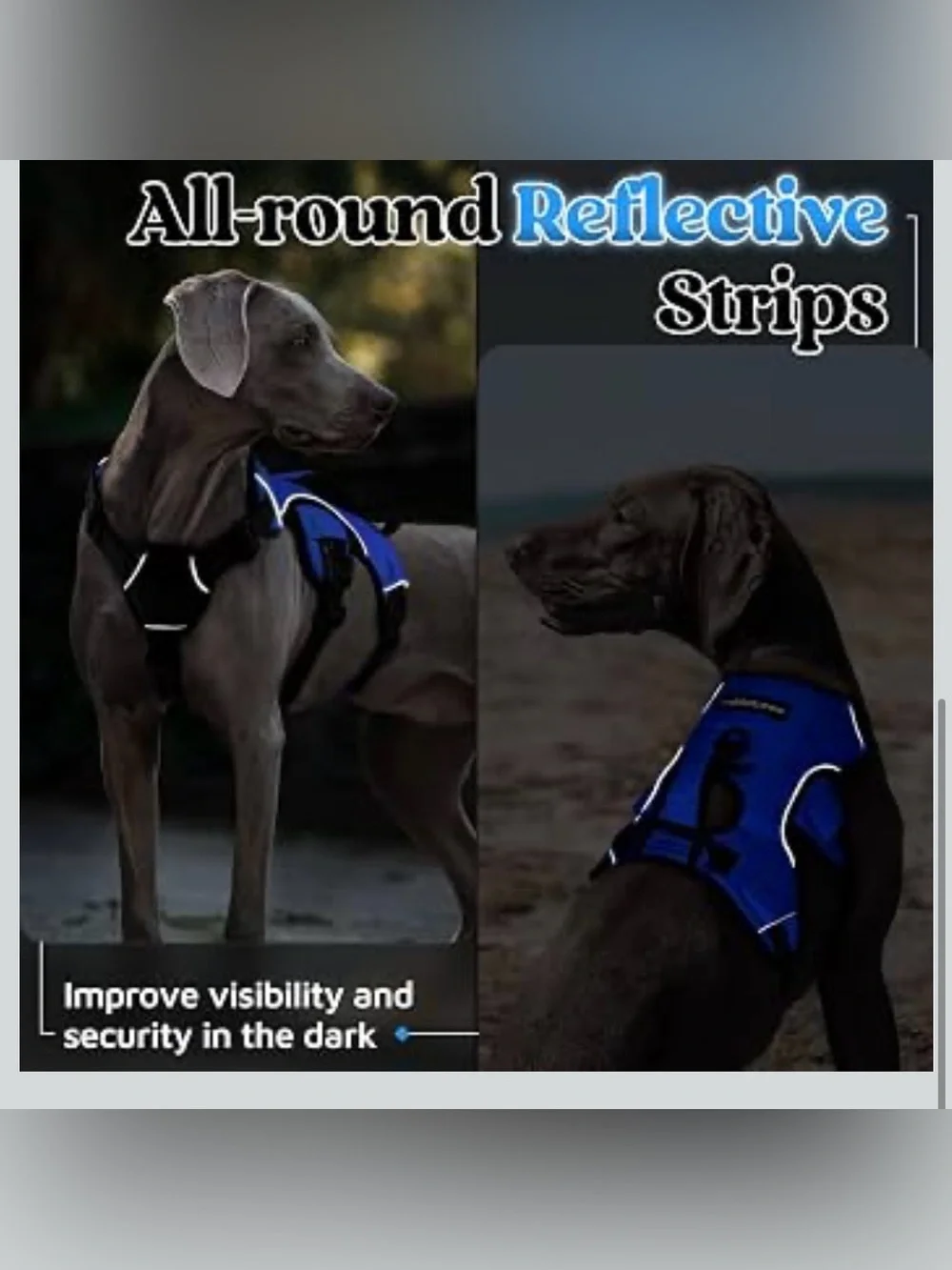 Rabbitgoo Escape Proof Dog Harness, Soft Padded Full Body Pet Harness 2380/dc-1